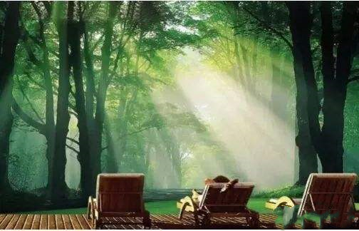 威大空氣凈化活性炭給您一個(gè)五星級(jí)的居住環(huán)境！電話：13838587319 孫經(jīng)理